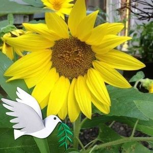 Meet your Posher, Pamela